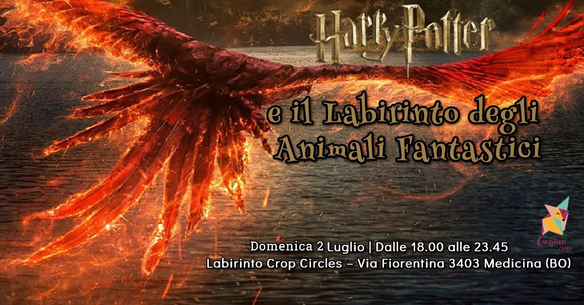 Harry Potter e il Labirinto degli Animali Fantastici