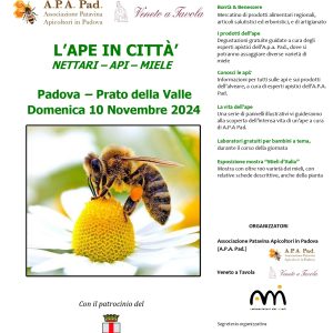 locandina ape in citta 2024