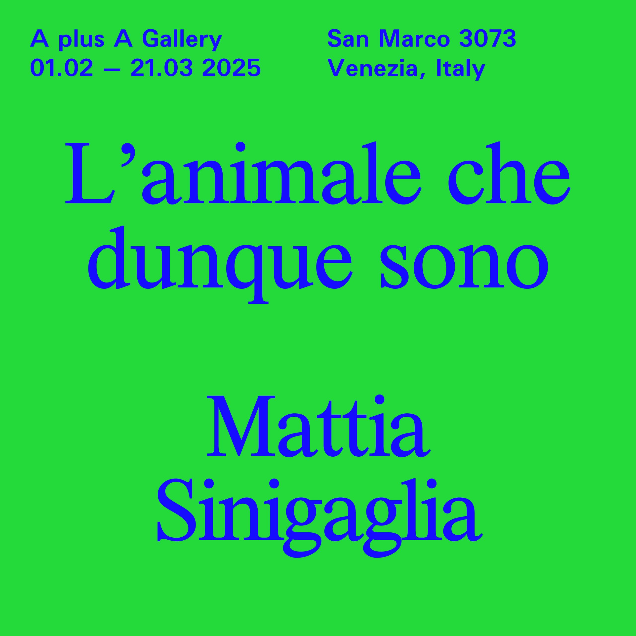 Mattia Sinigaglia A plus A Gallery scaled