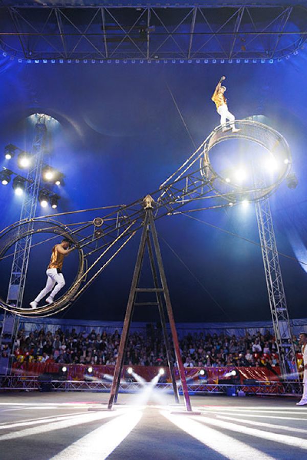 circo 8e0004a3